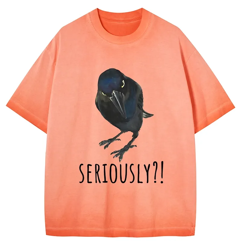 Tokyo-Tiger Raven's Question Gradient Washed T-Shirt