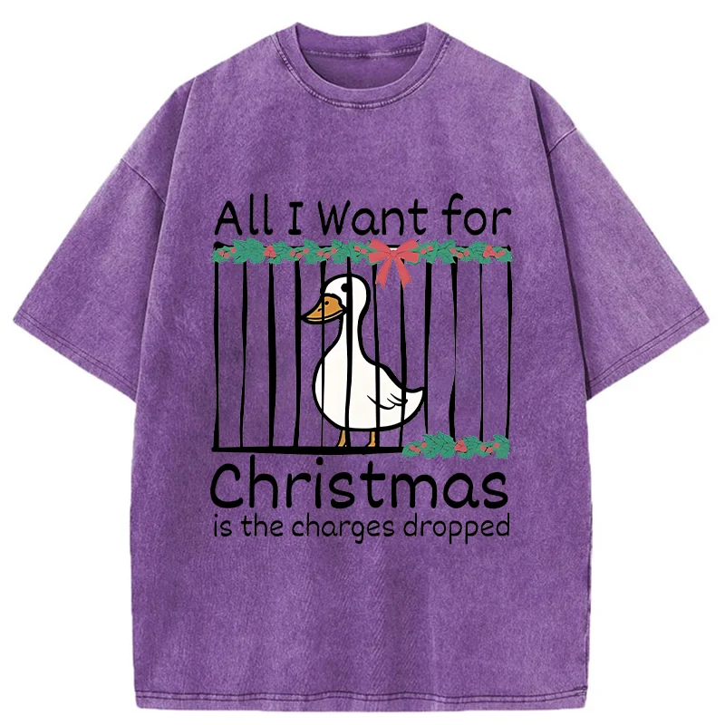 Tokyo-Tiger Christmas Stupid Goose Washed T-Shirt