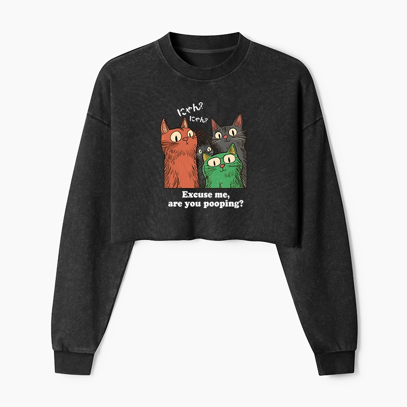 Tokyo-Tiger Cats Watching Poop Washed Crop Sweatshirt