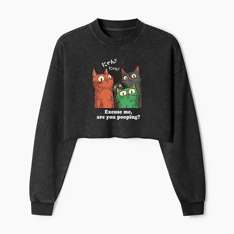 Tokyo-Tiger Cats Watching Poop Washed Crop Sweatshirt