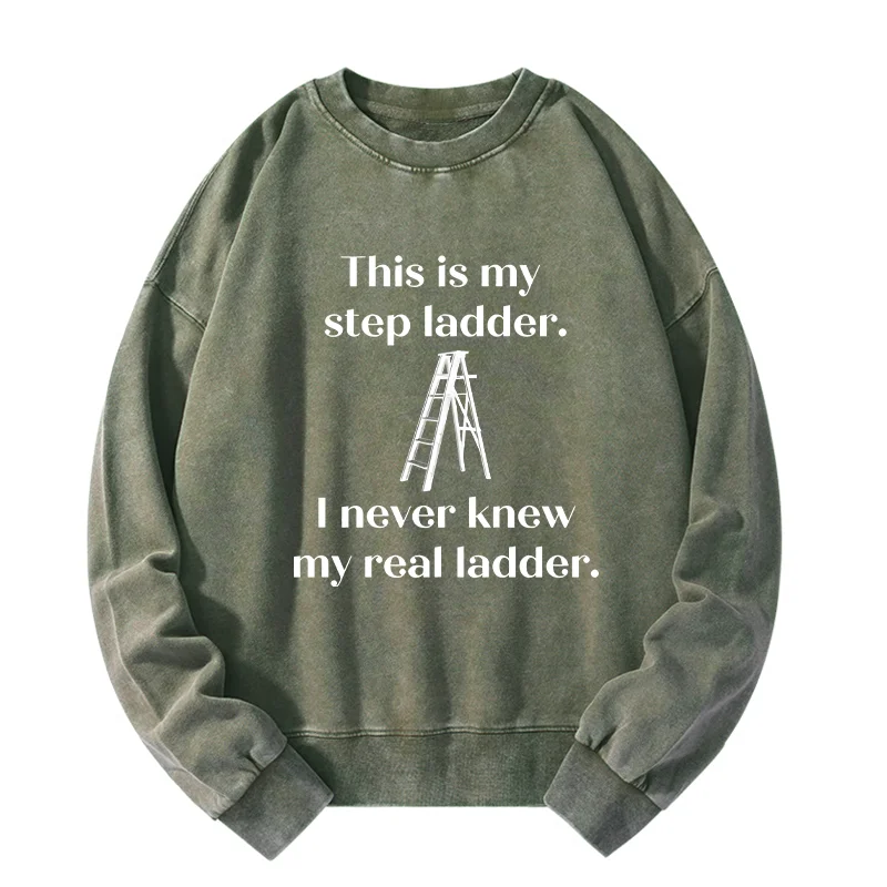 Tokyo-Tiger A Real Ladder Funny Washed Sweatshirt