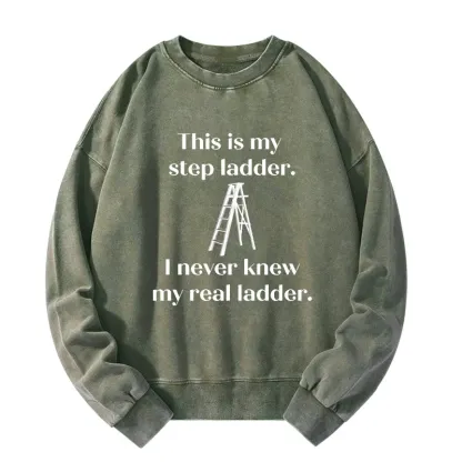Tokyo-Tiger A Real Ladder Funny Washed Sweatshirt