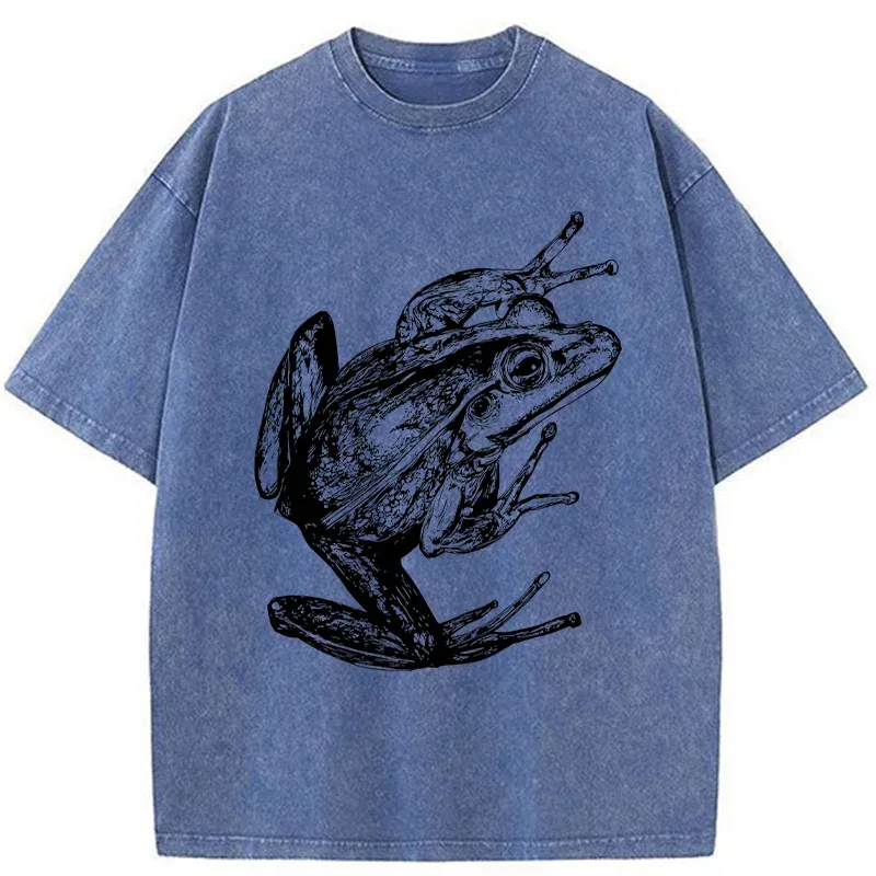 Tokyo-Tiger Retro Frog Japanese Washed T-Shirt
