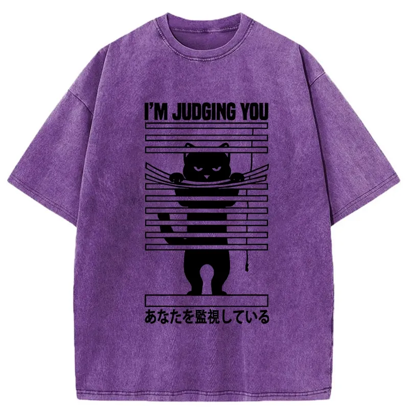 Tokyo-Tiger I'm Judging You Washed T-Shirt