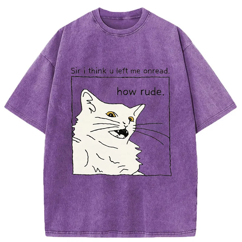 Tokyo-Tiger Cat That Condemn Humans Washed T-Shirt