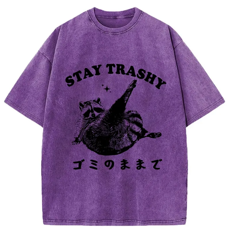 Tokyo-Tiger Raccoon Stay Trashy Washed T-Shirt