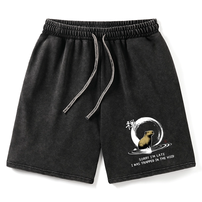 Tokyo-Tiger Zen Capybara Was Trapped In The Void Washed Shorts