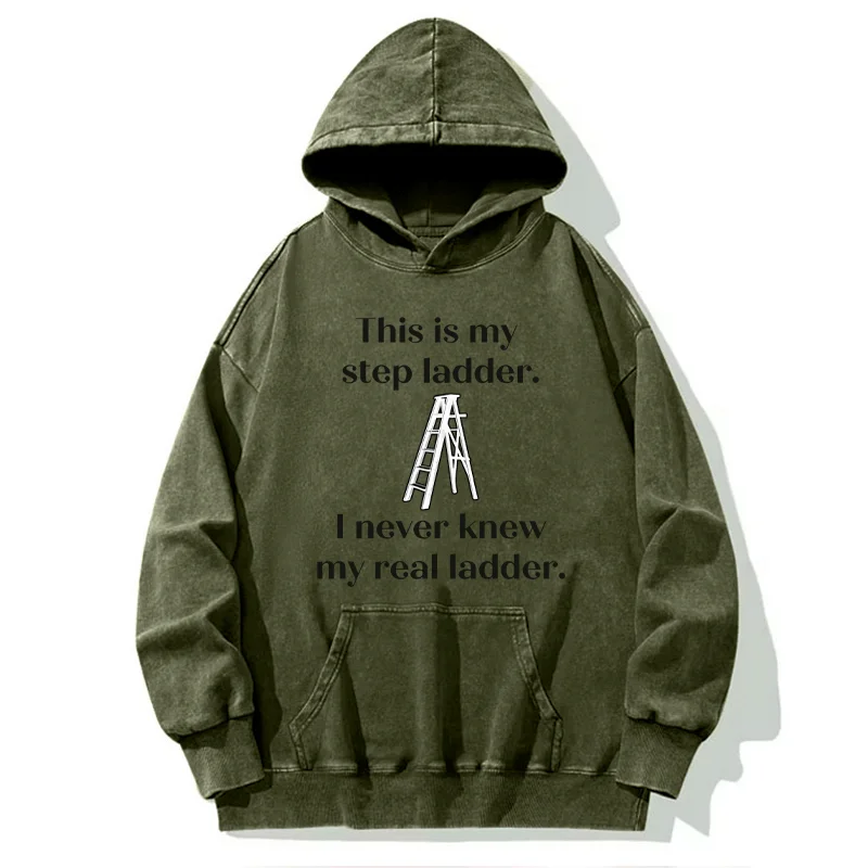 Tokyo-Tiger A Real Ladder Funny Washed Hoodie