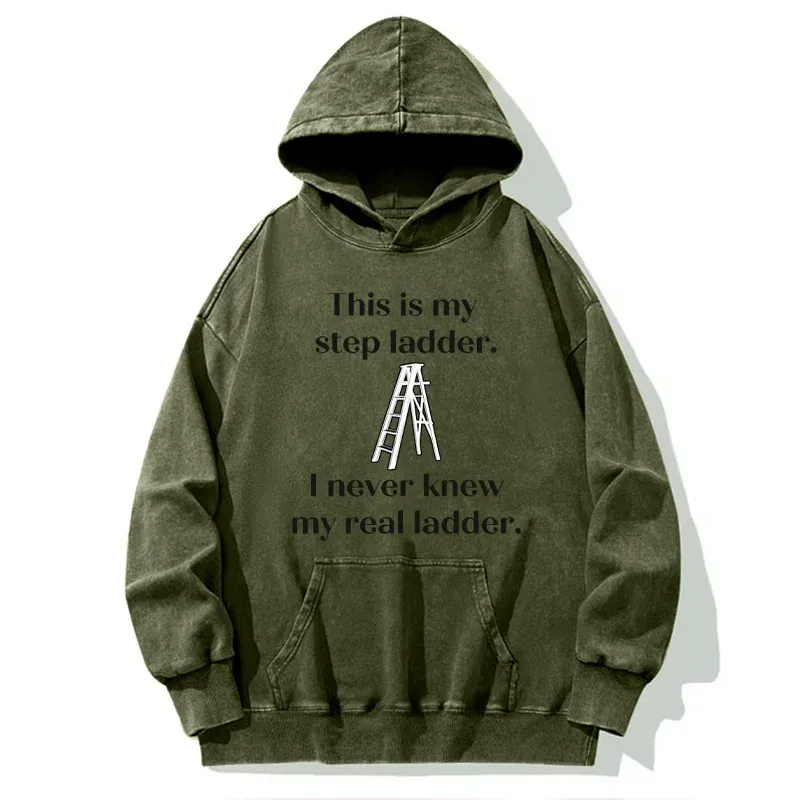 Tokyo-Tiger A Real Ladder Funny Washed Hoodie