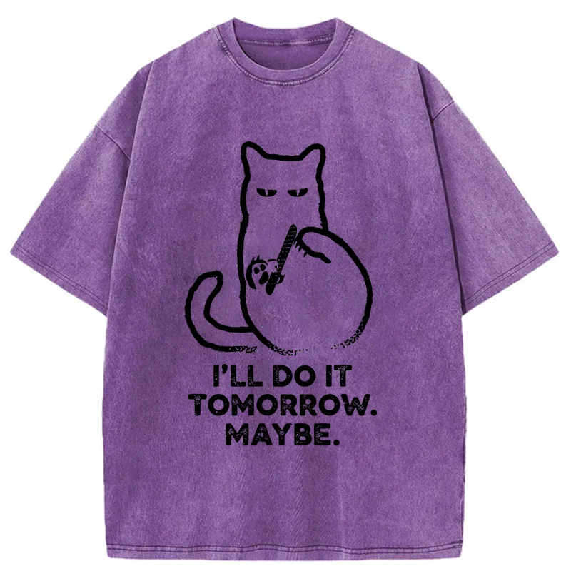 Tokyo-Tiger Do It Tomorrow Washed T-Shirt