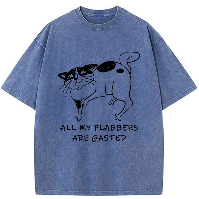 Tokyo-Tiger Surprised Cat Washed T-Shirt