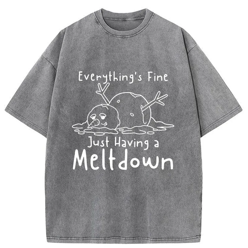 Tokyo-Tiger Snowman Had An Emotional Breakdown Washed T-Shirt