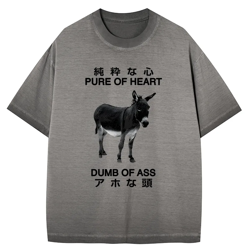 Tokyo-Tiger Pure Of Heart Dumb Of Ass Gradient Washed T-Shirt