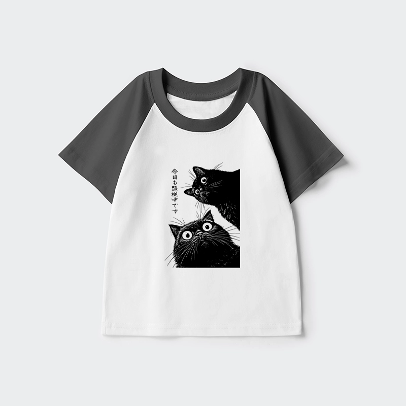 Tokyo-Tiger The Cat Is Watching Today Kids Raglan T-shirt