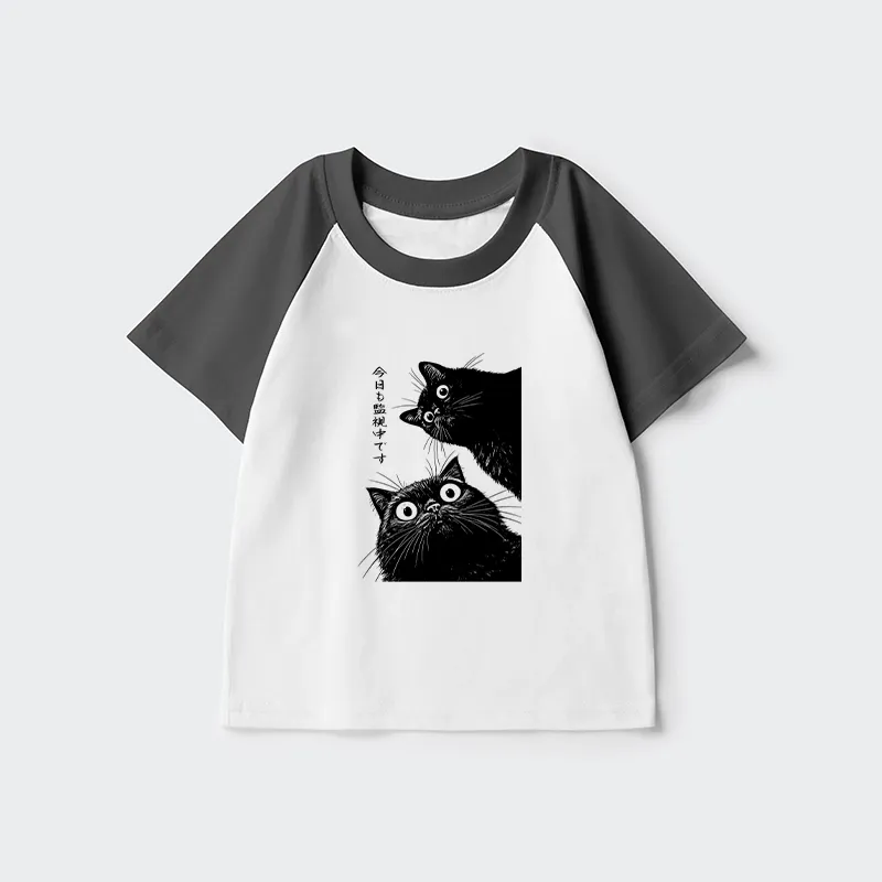 Tokyo-Tiger The Cat Is Watching Today Kids Raglan T-shirt