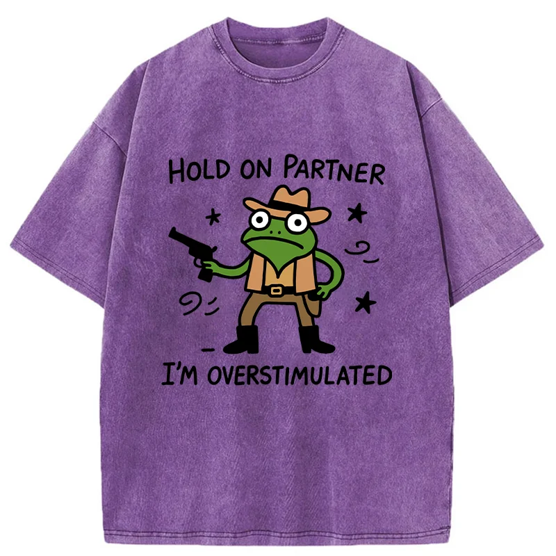 Tokyo-Tiger Overstimulated Frog Washed T-Shirt