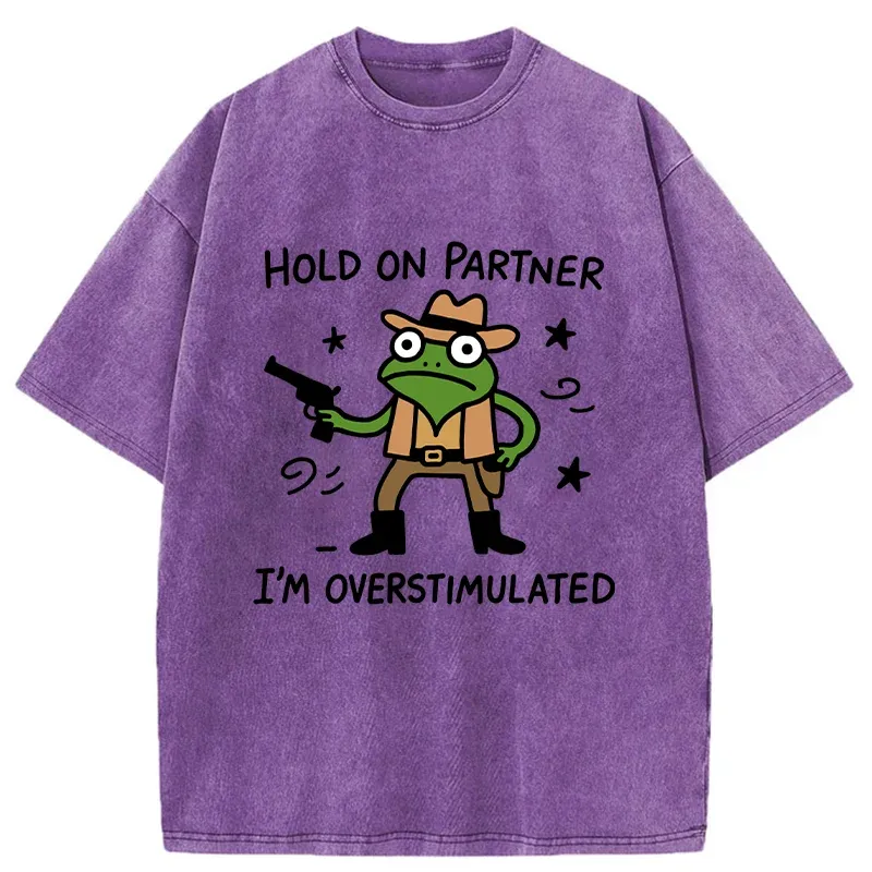 Tokyo-Tiger Overstimulated Frog Washed T-Shirt