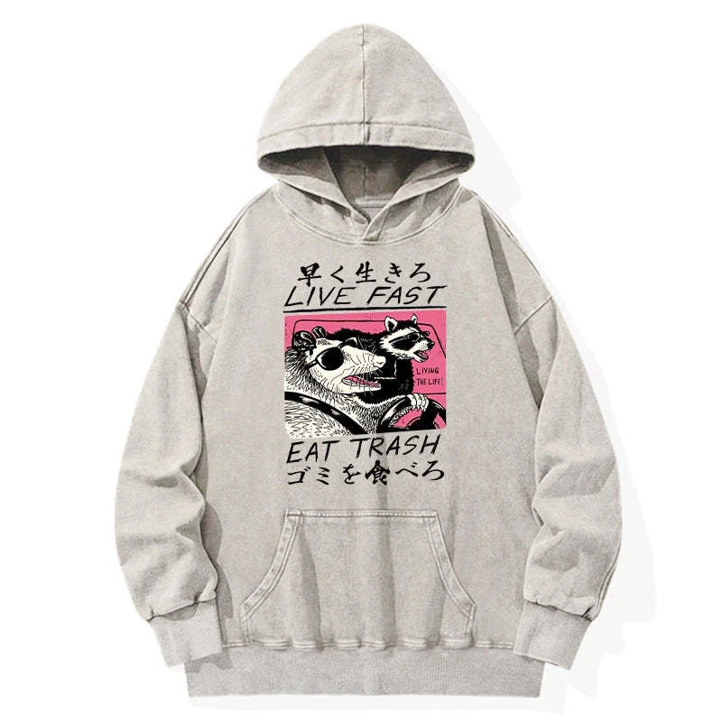 Tokyo-Tiger Live Fast Eat Trash Washed Hoodie Sale