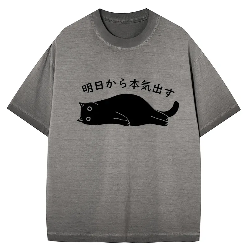Tokyo-Tiger I'm Going To Get Serious Tomorrow Gradient Washed T-Shirt