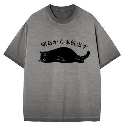 Tokyo-Tiger I'm Going To Get Serious Tomorrow Gradient Washed T-Shirt