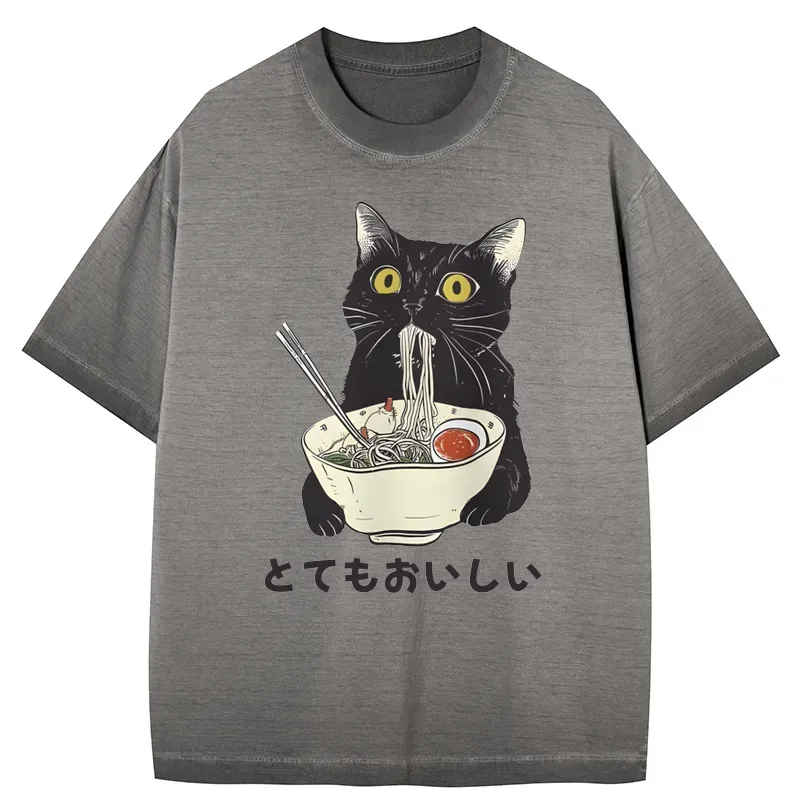 Tokyo-Tiger Cats Eat Ramen Noodles Gradient Washed T-Shirt