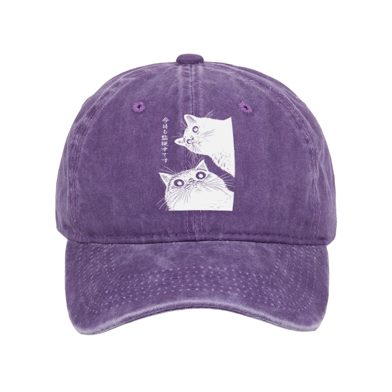 Tokyo-Tiger The Cat Is Watching Today Washed Cap