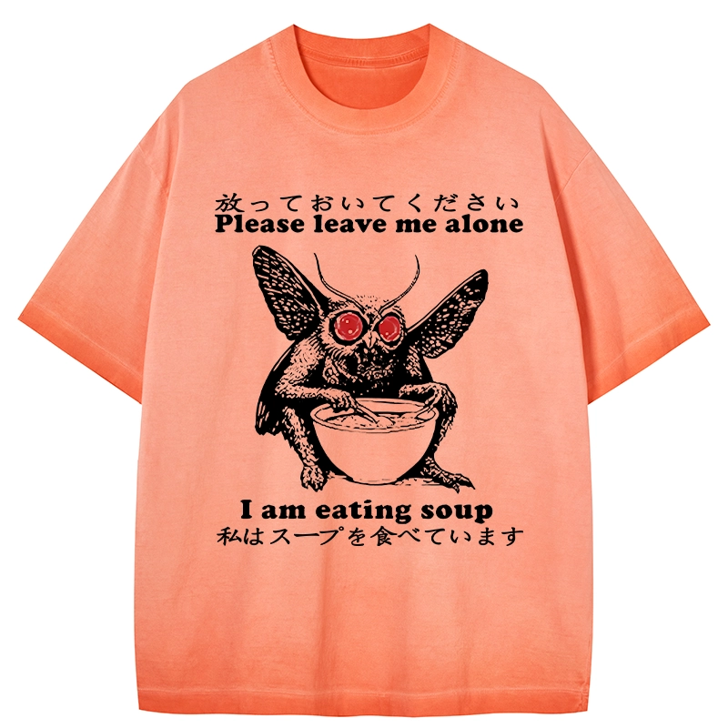 Tokyo-Tiger Don't Bother The Mothman Gradient Washed T-Shirt