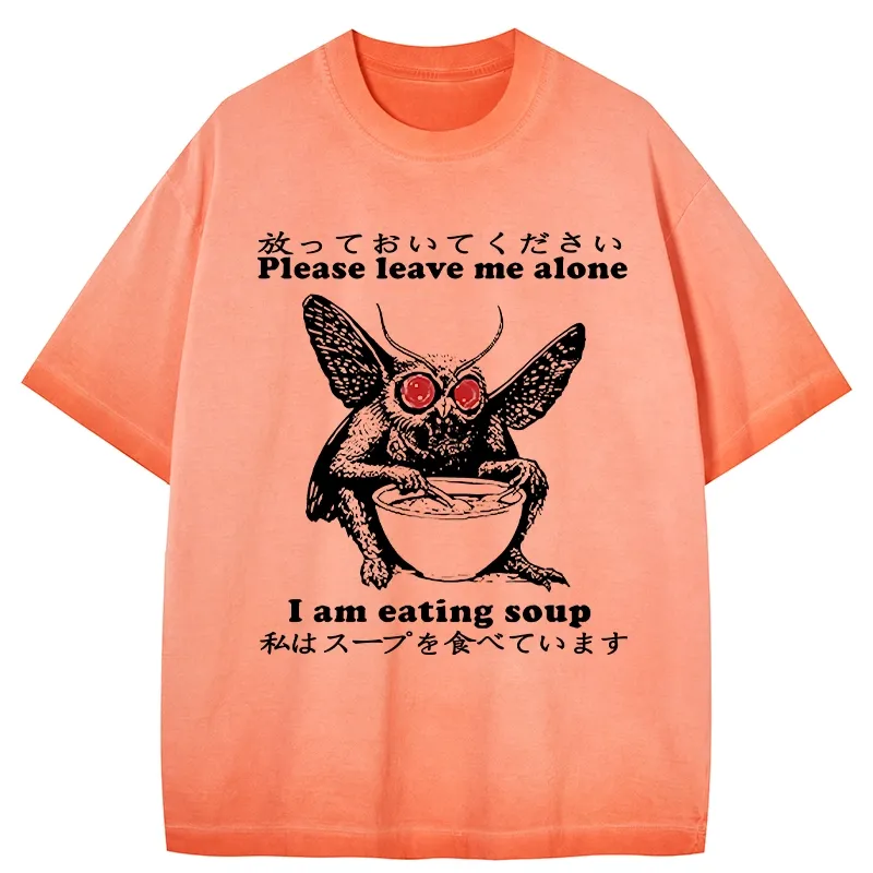 Tokyo-Tiger Don't Bother The Mothman Gradient Washed T-Shirt