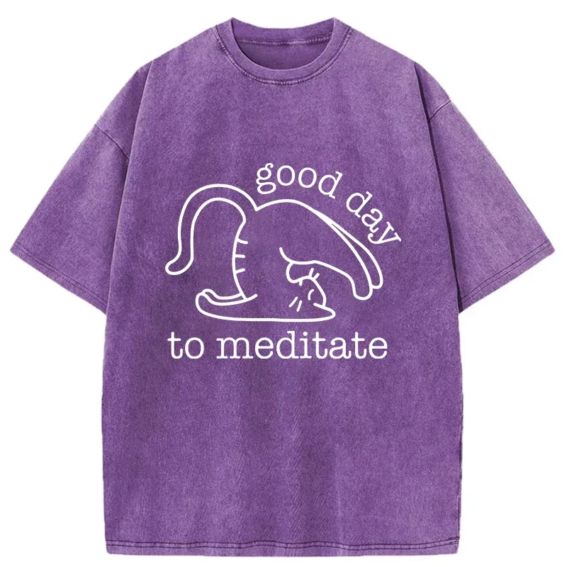 Tokyo-Tiger Cats Doing Yoga Washed T-Shirt