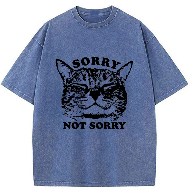 Tokyo-Tiger An Arrogant Apologizer Washed T-Shirt
