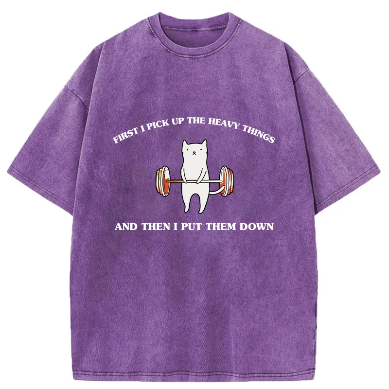 Tokyo-Tiger Weight Lifting Cat Washed T-Shirt