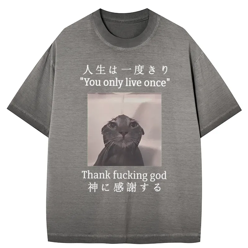 Tokyo-Tiger Funny Melancholy Cat Gradient Washed T-Shirt