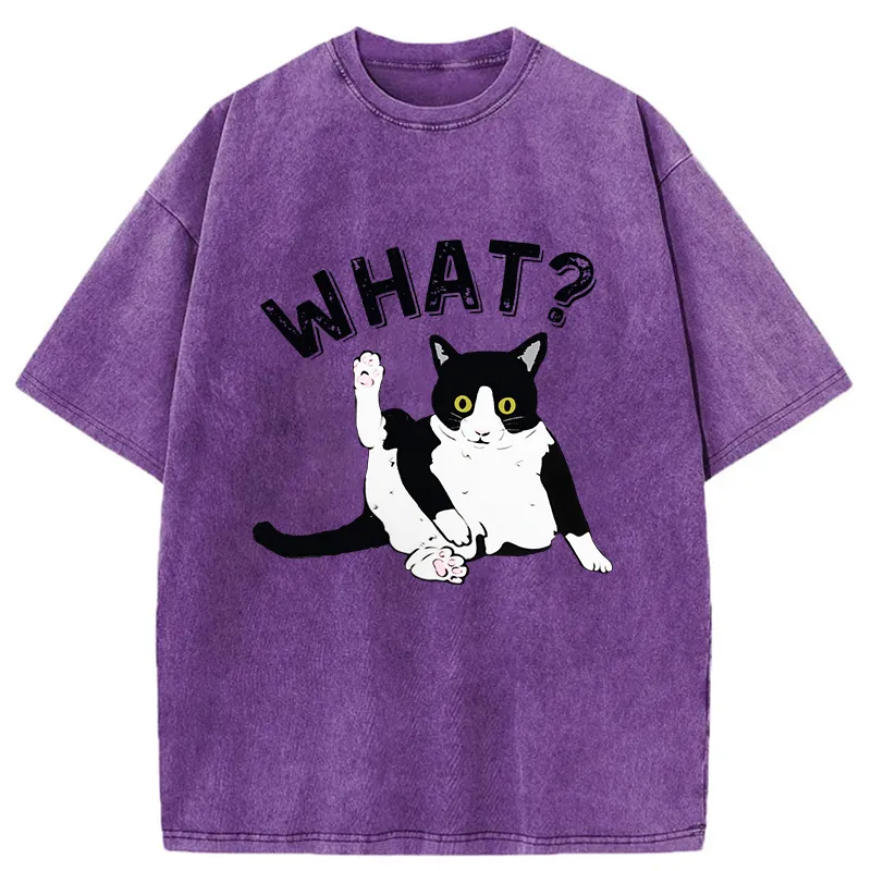 Tokyo-Tiger Cat's Question Washed T-Shirt