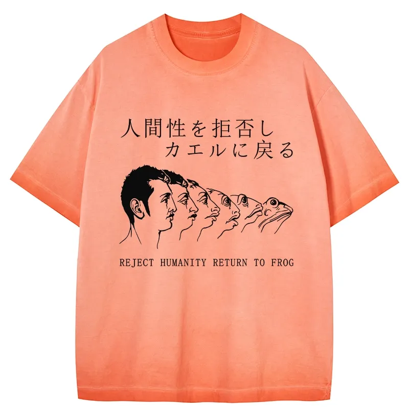 Tokyo-Tiger Return To Frog Gradient Washed T-Shirt