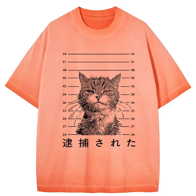 Tokyo-Tiger Cat That Was Arrested Gradient Washed T-Shirt