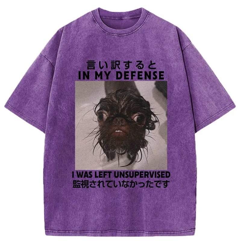 Tokyo-Tiger I Was Left Unsupervised Washed T-Shirt
