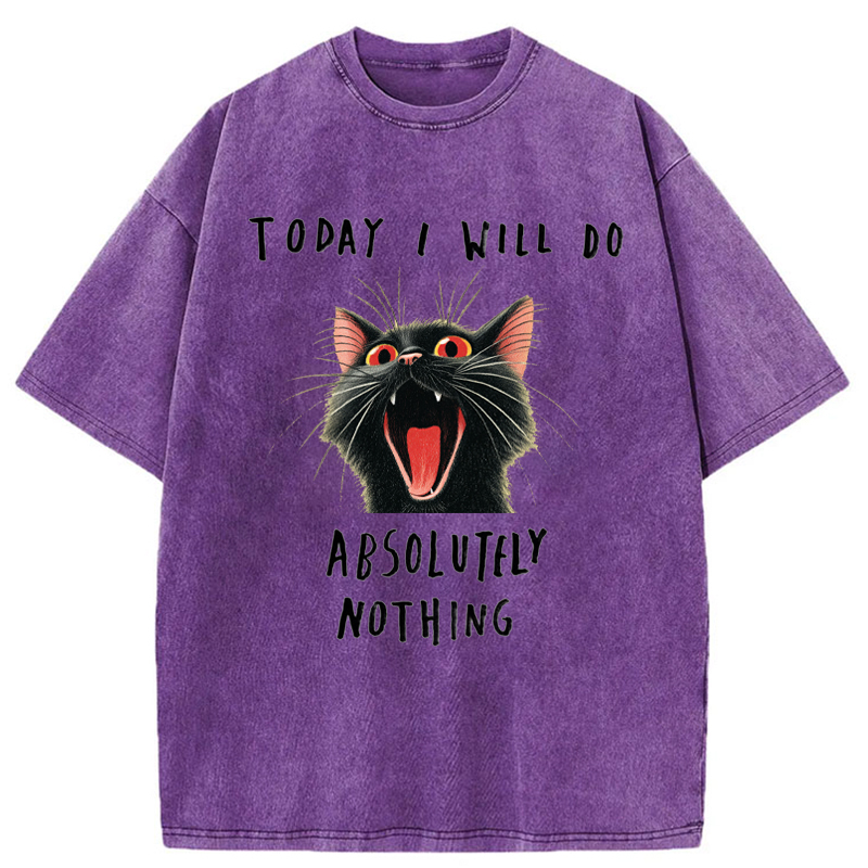 Tokyo-Tiger Today I Will Do Absolutely Nothing Washed T-Shirt