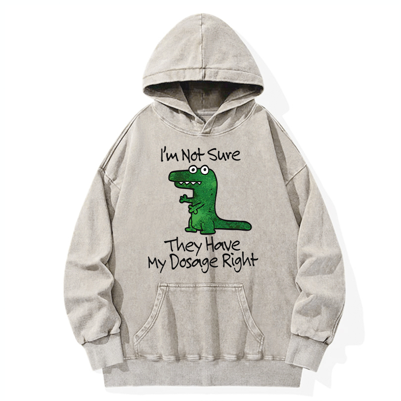 Tokyo-Tiger Dinosaur Meme Sarcastic Ironic Washed Hoodie