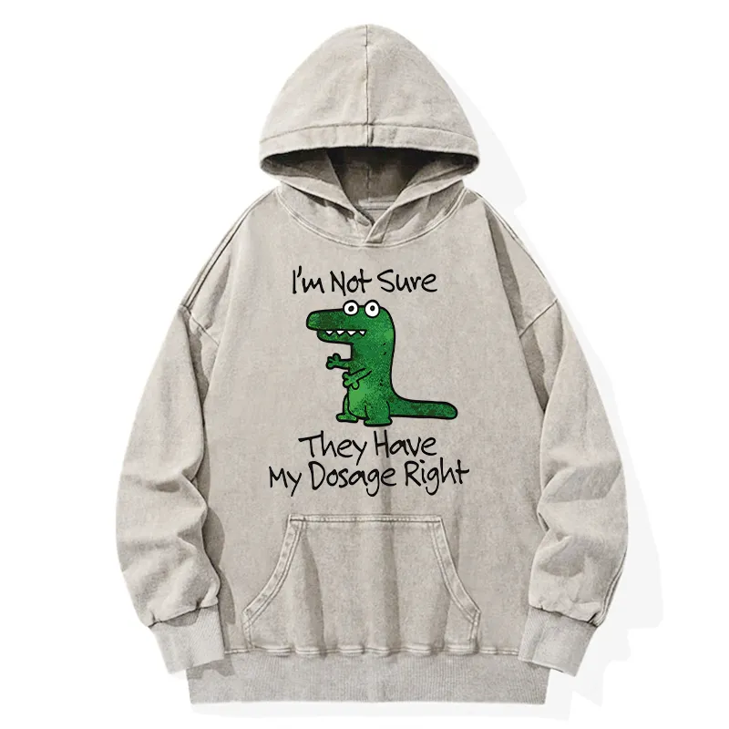 Tokyo-Tiger Dinosaur Meme Sarcastic Ironic Washed Hoodie