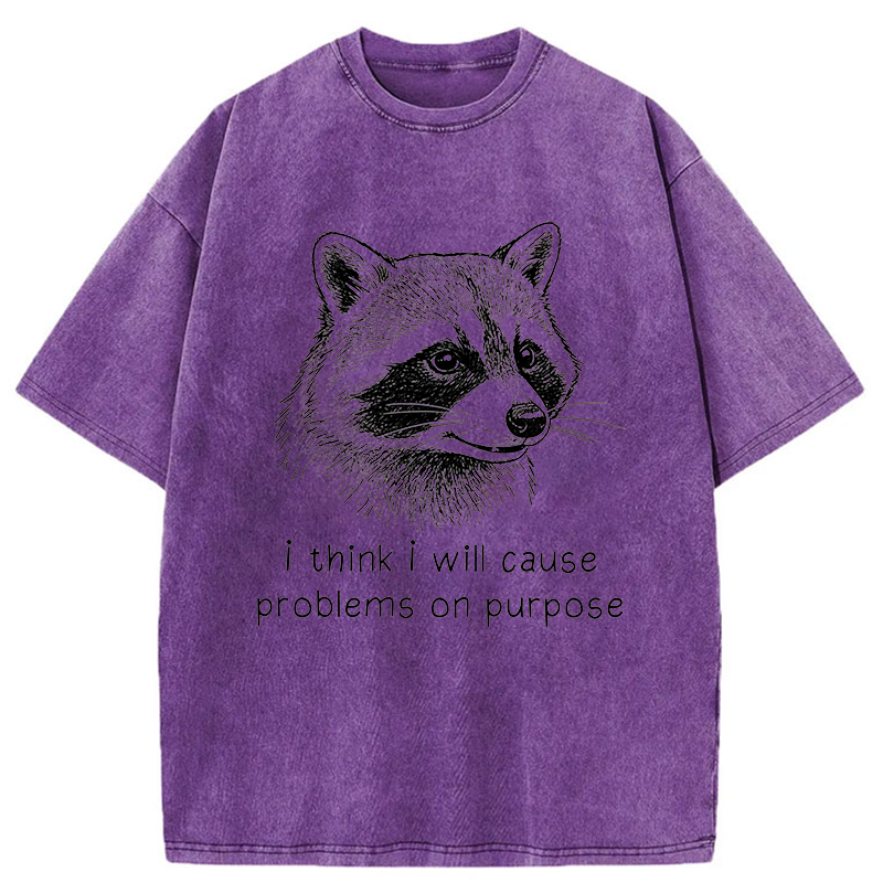 Tokyo-Tiger Stupid Raccoon Washed T-Shirt