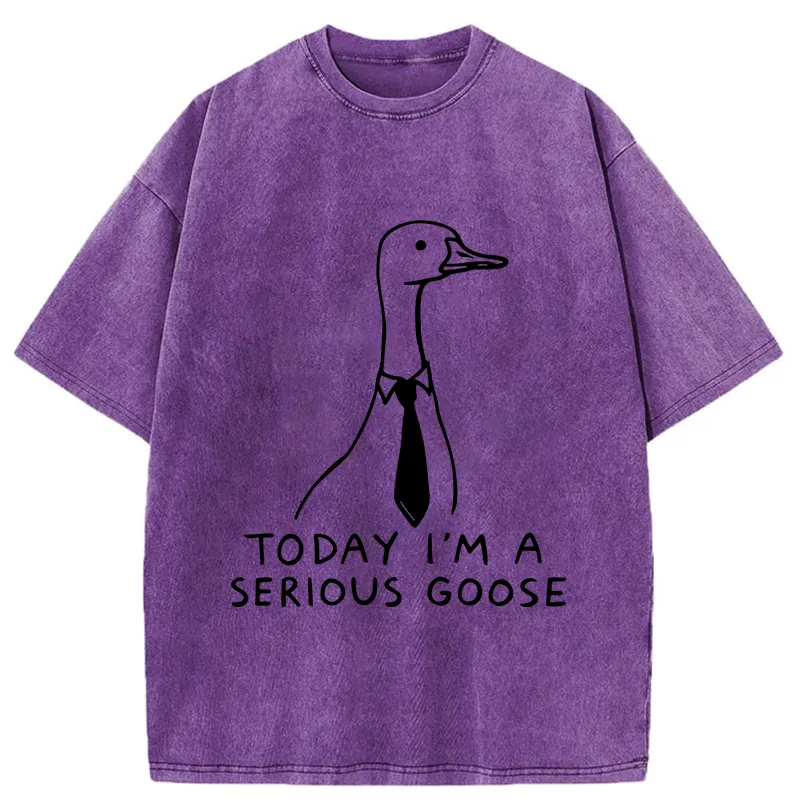 Tokyo-Tiger Serious Goose Funny Washed T-Shirt