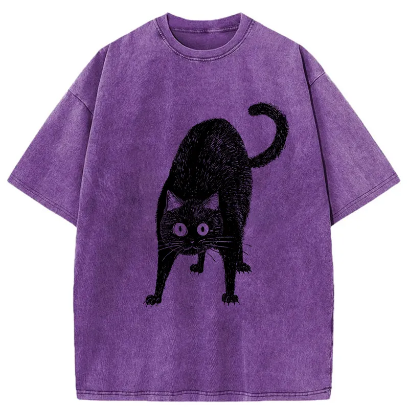 Tokyo-Tiger Alert Cat Washed T-Shirt
