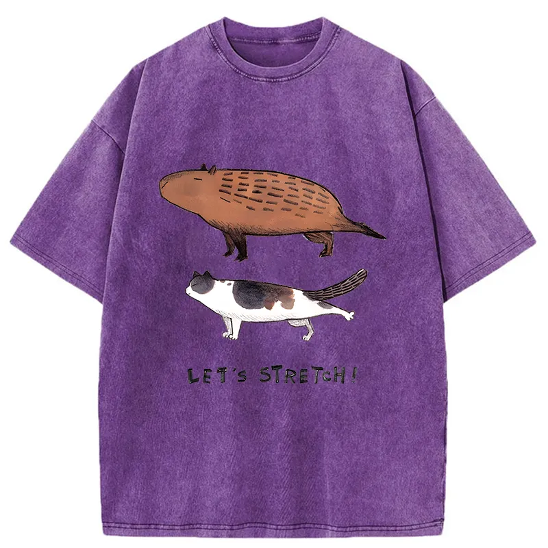 Tokyo-Tiger Let's Stretch Together Washed T-Shirt