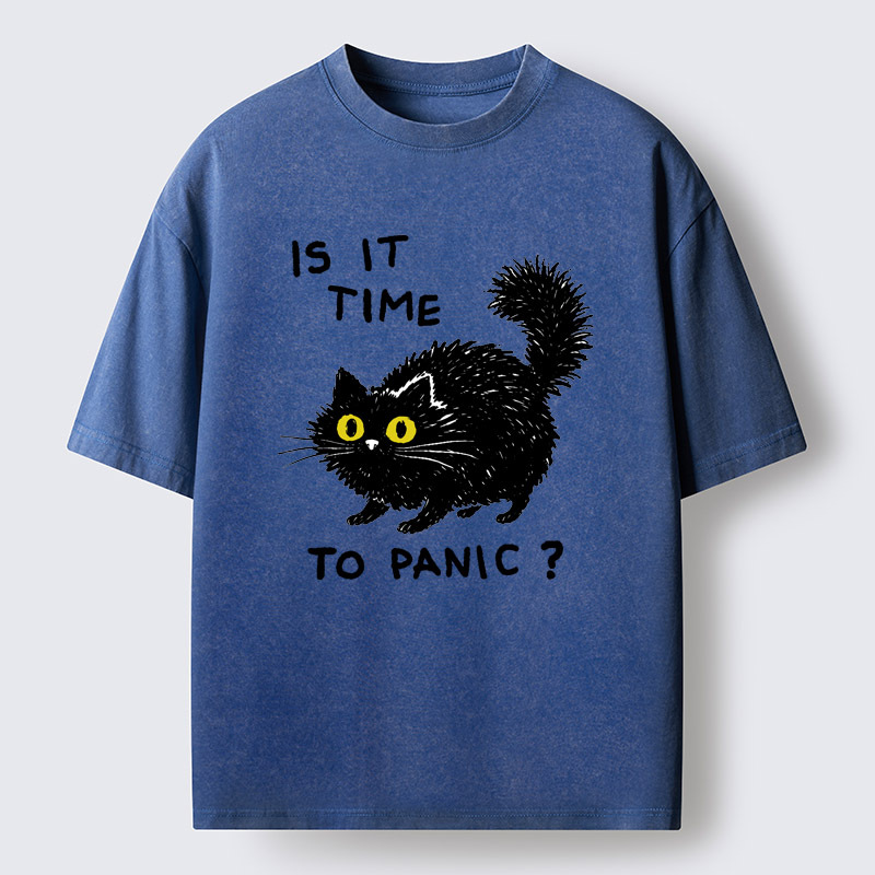 Tokyo-Tiger Is It Time To Panic Washed T-Shirt