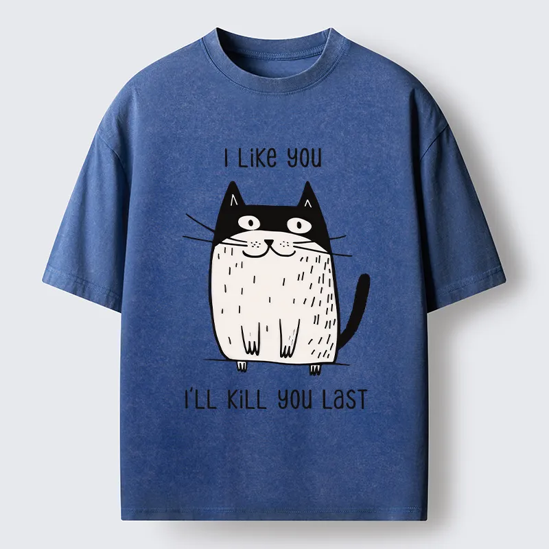 Tokyo-Tiger Cats Both Love And Hate Washed T-Shirt