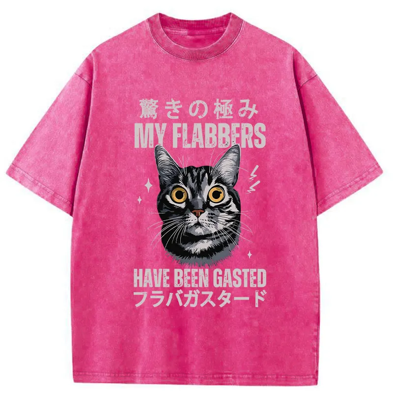 Tokyo-Tiger My Flabbers Have Been Gasted Washed T-Shirt Sale