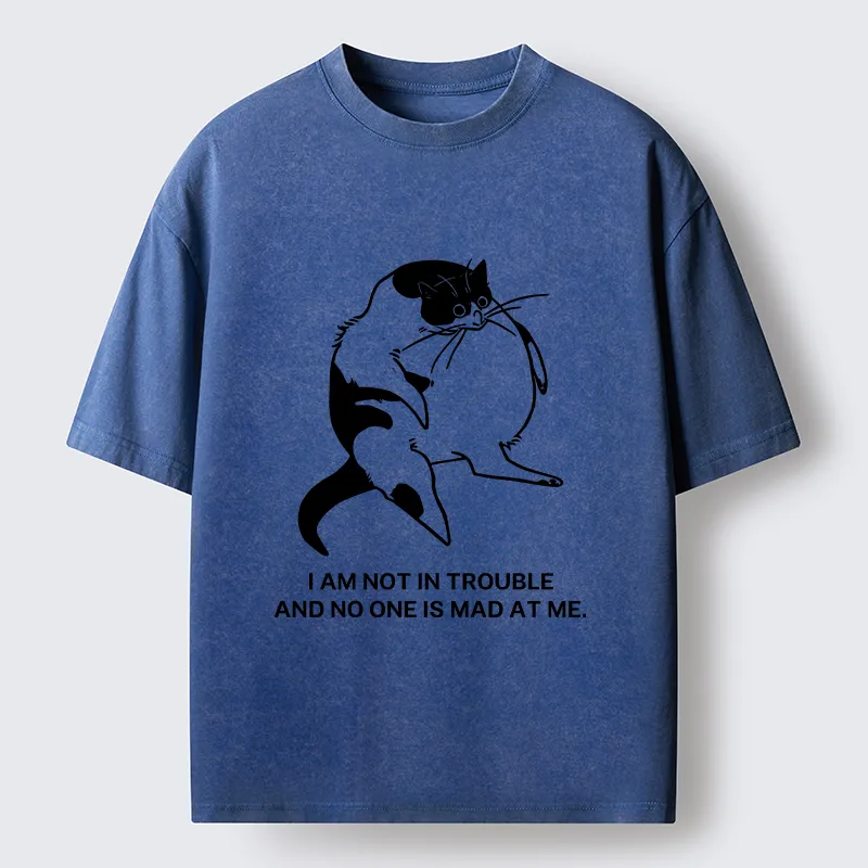 Tokyo-Tiger Introverted Kitten Japan Washed T-Shirt