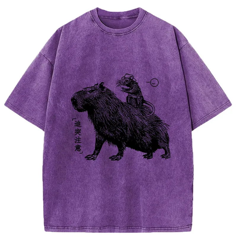 Tokyo-Tiger Mouse Riding A Capybara Washed T-Shirt