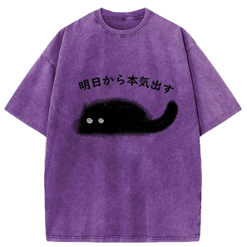 Tokyo-Tiger I'll Get Serious From Tomorrow Washed T-Shirt