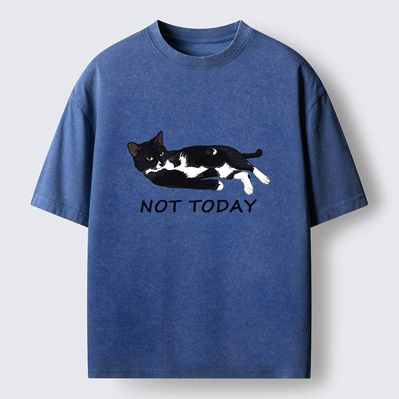 Tokyo-Tiger Cat Said Not Today Washed T-Shirt
